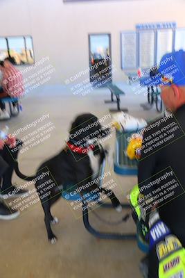 media/Mar-23-2025-TrackDaz (Sun) [[88a7749186]]/Around the Pits/